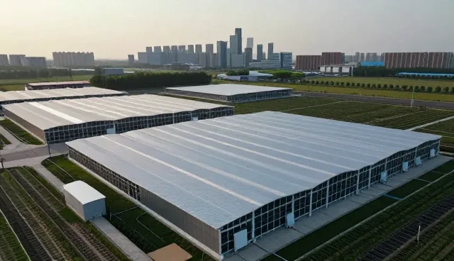 网站建设提升门店展厅使用效率