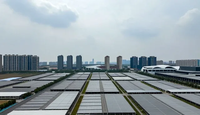 网站使用与维护建议:行业应用中的软件开发问题分析